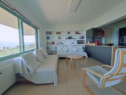 The Garden of Zephyrus