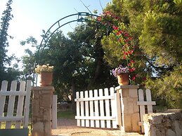 The Garden of Zephyrus