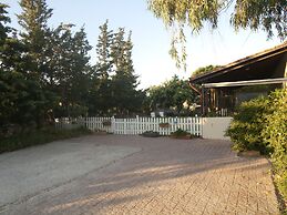 The Garden of Zephyrus