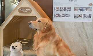 Wolmido Stella Maris Hotel