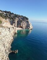 Villa Brumnic Apartments