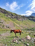 Cozy Hotel Kazbegi