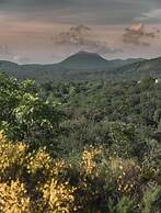 Volvic Organic Resort