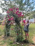 Yol Glamping Hotel Retreat Center