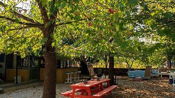 Yol Glamping Hotel Retreat Center