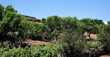 La Casa del Abuelito Julián en El Hierro