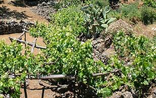 La Casa del Abuelito Julián en El Hierro
