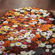 Era Hotel & SPA Tulum