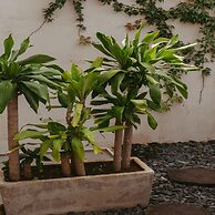 Era Hotel & SPA Tulum