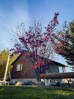 Paraiso Patagonico Bungalows and Apart