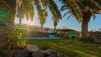 Twin Fin Surf Camp - Hostel