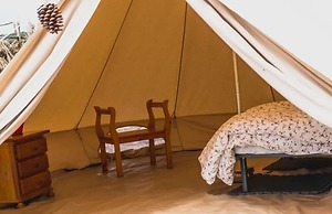 Twin Fin Surf Camp - Hostel