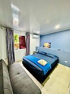 Palmare House