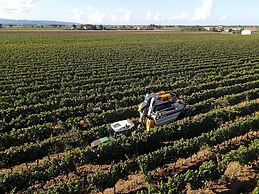 Agriturismo il Pelago