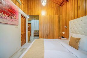 Rainforest Resort