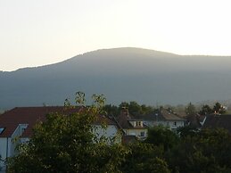 Studio 1 - Location de Vacances Obernai