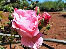 Dépendance in Villa Karmel