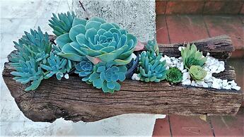 Dépendance in Villa Karmel