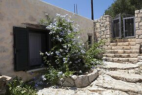 Anemos Studio