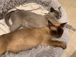 Apple Tree Guest House