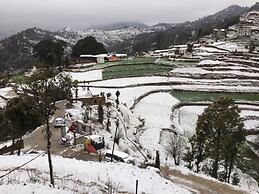 Blossom Bliss Resort