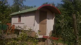 Schaeferwagenhotel-Campsite