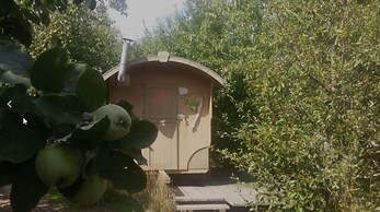 Schaeferwagenhotel-Campsite