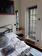 Hollies and Ilfracombe Harbour View