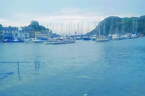Hollies and Ilfracombe Harbour View