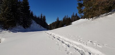 Pension Chalet Berkana