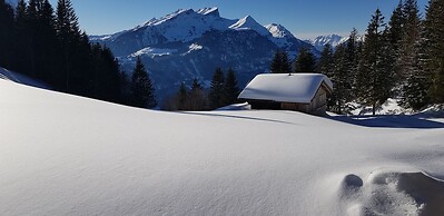 Pension Chalet Berkana