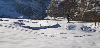 Pension Chalet Berkana