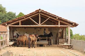 Big Valley Hotel Fazenda