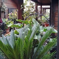 Cabañas Valle Verde