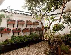 Ayenda 1079 Bogotá Alpes Polo Club