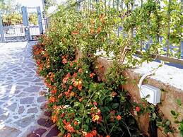 B&B Il Giardino dei Glicini