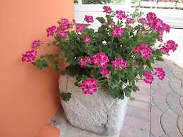 Albergo Villa Mimosa