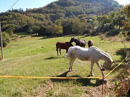 Campeggio Parco dei Castagni srl