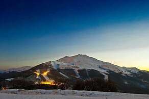 Campeggio Parco dei Castagni srl