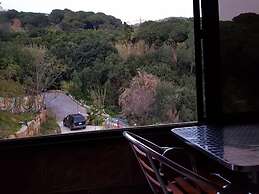 Pinewood Hotel