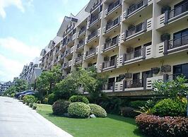 The Redwoods by Precious Gem