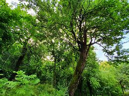 Kadifeli Konak Boutique Hotel
