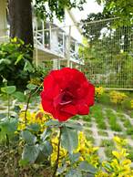 Kadifeli Konak Boutique Hotel