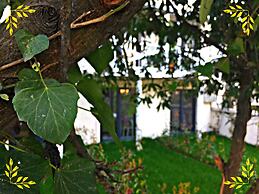 Kadifeli Konak Boutique Hotel