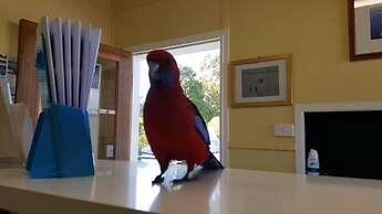 Lake Conjola Waterfront Holiday Park