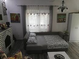 Old House Morinj - Tara