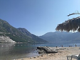 Old House Morinj - Tara