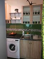 Old House Morinj - Tara