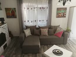 Old House Morinj - Tara