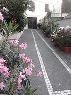 Rome Home Trastevere 246